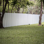 Should You Be Worried About Cockroach Infestations in Your Round Rock Home?