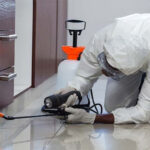 The Advantages of Professional Janitorial Cleaning for Offices and Retail