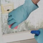 When should you call professionals for mold removal?