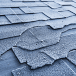 Best Landscaping Services in Dallas, TX