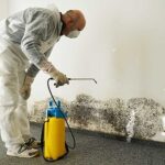 Commercial & Office Mold Removal Services in Singapore – Professional Mold Solutions for Businesses