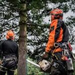 Is Your Water Heater Still Reliable? Here’s How to Know Before It Fails