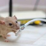 Choosing the Right BESS EPC Contractor for Your Storage Project