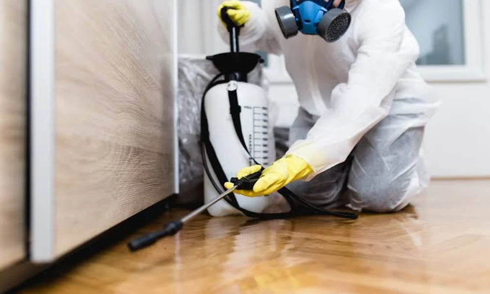 General Pest Control in Metro Atlanta: What Every Homeowner Should Know